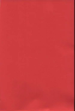 Page 2 of Yukiyanagi no Hon 6 Morrigan Leather Type