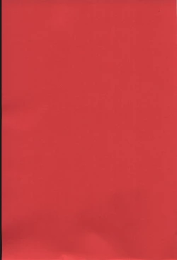 Page 3 of Yukiyanagi no Hon 6 Morrigan Leather Type