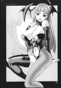 Page 4 of Yukiyanagi no Hon 6 Morrigan Leather Type