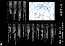 Page 21 of Gensoukyou Inkou Kirokushuu