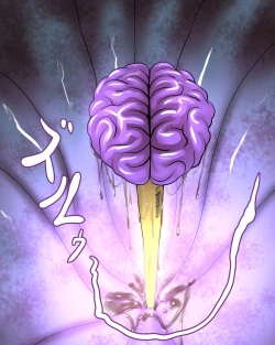 Page 31 of Komon no-ka