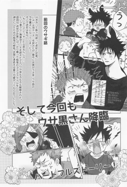 Page 2 of usagikakushi