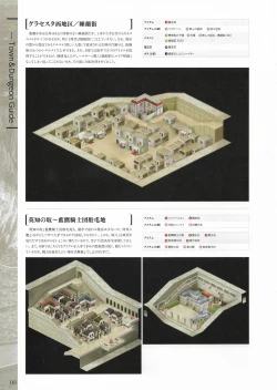 Page 120 of Fuukan no Grasesta Perfect Guidebook