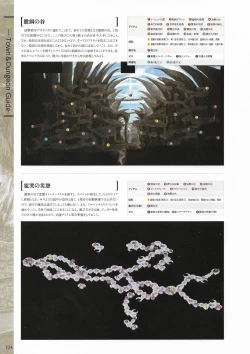 Page 126 of Fuukan no Grasesta Perfect Guidebook