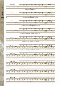 Page 188 of Fuukan no Grasesta Perfect Guidebook