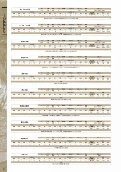 Page 204 of Fuukan no Grasesta Perfect Guidebook