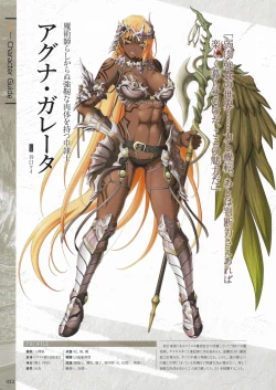 Page 24 of Fuukan no Grasesta Perfect Guidebook