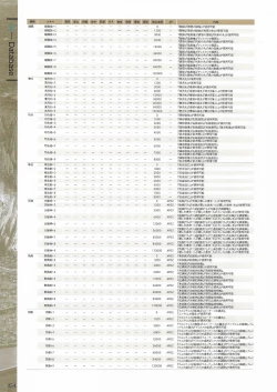 Page 256 of Fuukan no Grasesta Perfect Guidebook