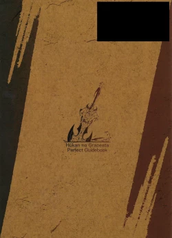 Page 307 of Fuukan no Grasesta Perfect Guidebook