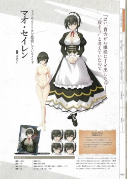 Page 41 of Fuukan no Grasesta Perfect Guidebook