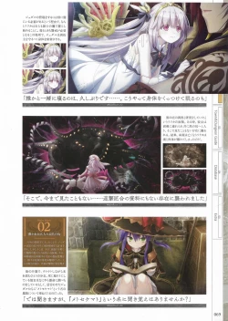 Page 71 of Fuukan no Grasesta Perfect Guidebook