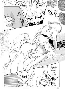 Page 29 of SLAYERS ADULT 5