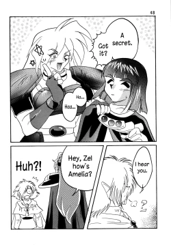 Page 48 of SLAYERS ADULT 5