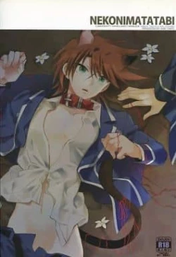 Page 1 of Nekonimatatabi Cardfight Vanguard!!