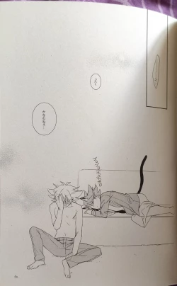 Page 26 of Nekonimatatabi Cardfight Vanguard!!