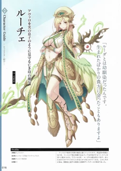 Page 19 of Amayui Labyrinth Meister Perfect Guidebook