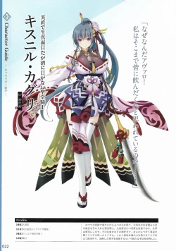 Page 25 of Amayui Labyrinth Meister Perfect Guidebook