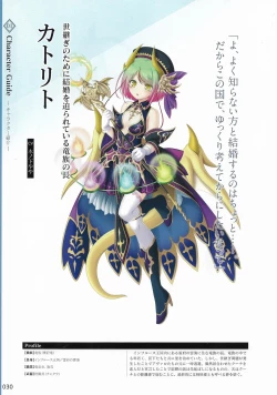 Page 33 of Amayui Labyrinth Meister Perfect Guidebook