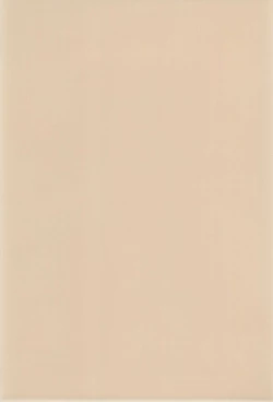 Page 33 of Comic Petit Laurier MC