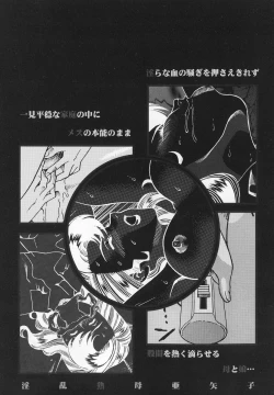 Page 4 of Inran Jukubo AYAKO