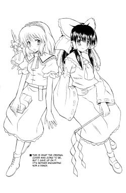 Page 39 of Touhou Youjo Ranbu | Touhou Enchantresse's Dance