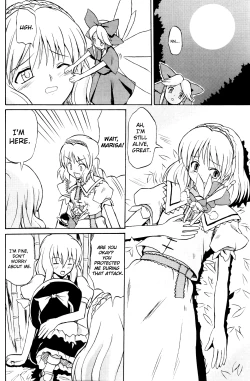 Page 5 of Touhou Youjo Ranbu | Touhou Enchantresse's Dance