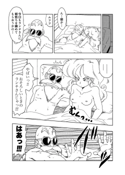 Page 17 of DB-X Kame Sennin x Lunch Hen