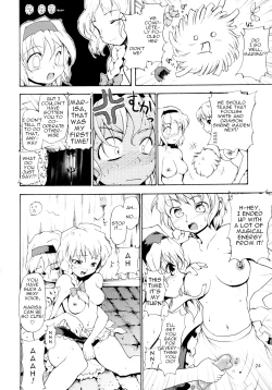 Page 24 of Touhou Ukiyo Emaki Alice Margatroid