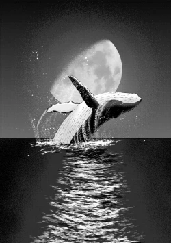 Page 10 of Tsuki to Kujira to Touhikou