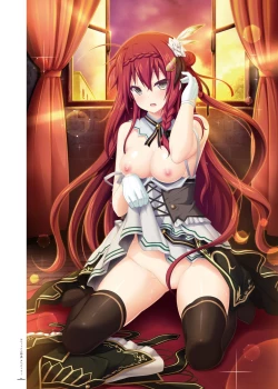 Page 223 of Kami No Rhapsody Perfect Guidebook