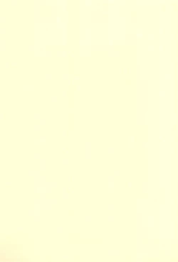 Page 33 of TANGERIN PARANOIA