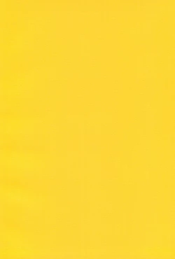 Page 2 of Kayoiko no Kokkai