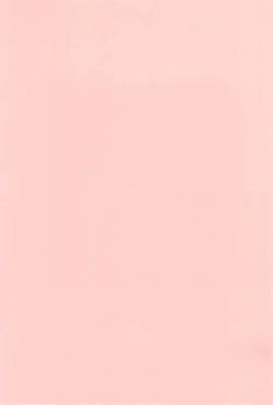 Page 45 of High Risk x Lolita