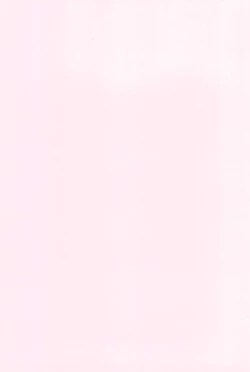 Page 29 of Koufuku no Hanayome Koufuku no Hanamuko