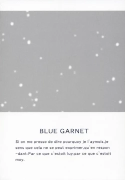 Page 3 of BLUE GARNET XVII