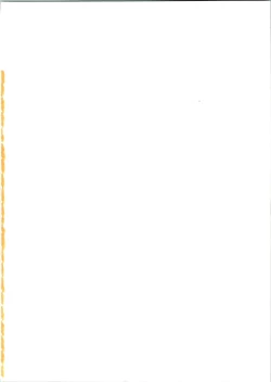 Page 2 of KOMA WHITE