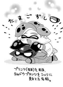 Page 17 of Shadow no kimi