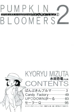 Page 4 of PUMPKIN BLOOMERS 2