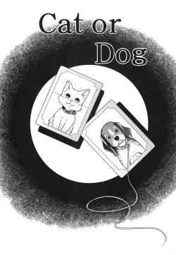 Page 45 of Hare Tokidoki Nurenezumi