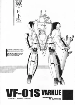 Page 22 of Sen Megami