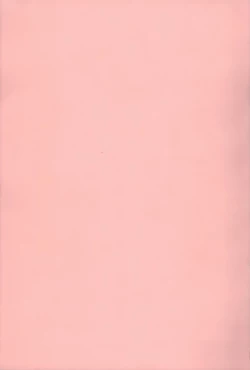 Page 3 of Nedari Midara | 挑逗與放蕩