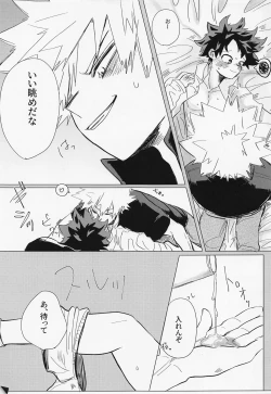 Page 14 of Ichizushika Katan! ADULT