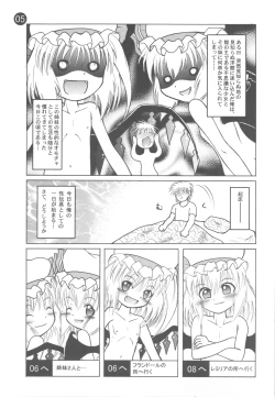Page 3 of Remilia Ojou-sama to no Ichinichi