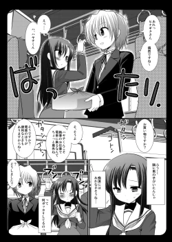 Page 5 of Hinagiku Chikan Densha 3