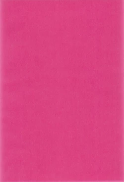 Page 4 of Watashi ga Sabaku no da