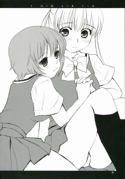 Page 15 of Tomarin 2