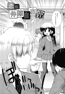 Page 83 of Gohoteki Minisize - Lawful minisize