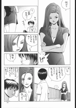Page 13 of SEXCEED ver.7.0