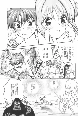 Page 19 of Taiyou no Shippo