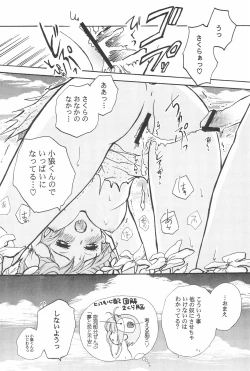 Page 30 of Taiyou no Shippo